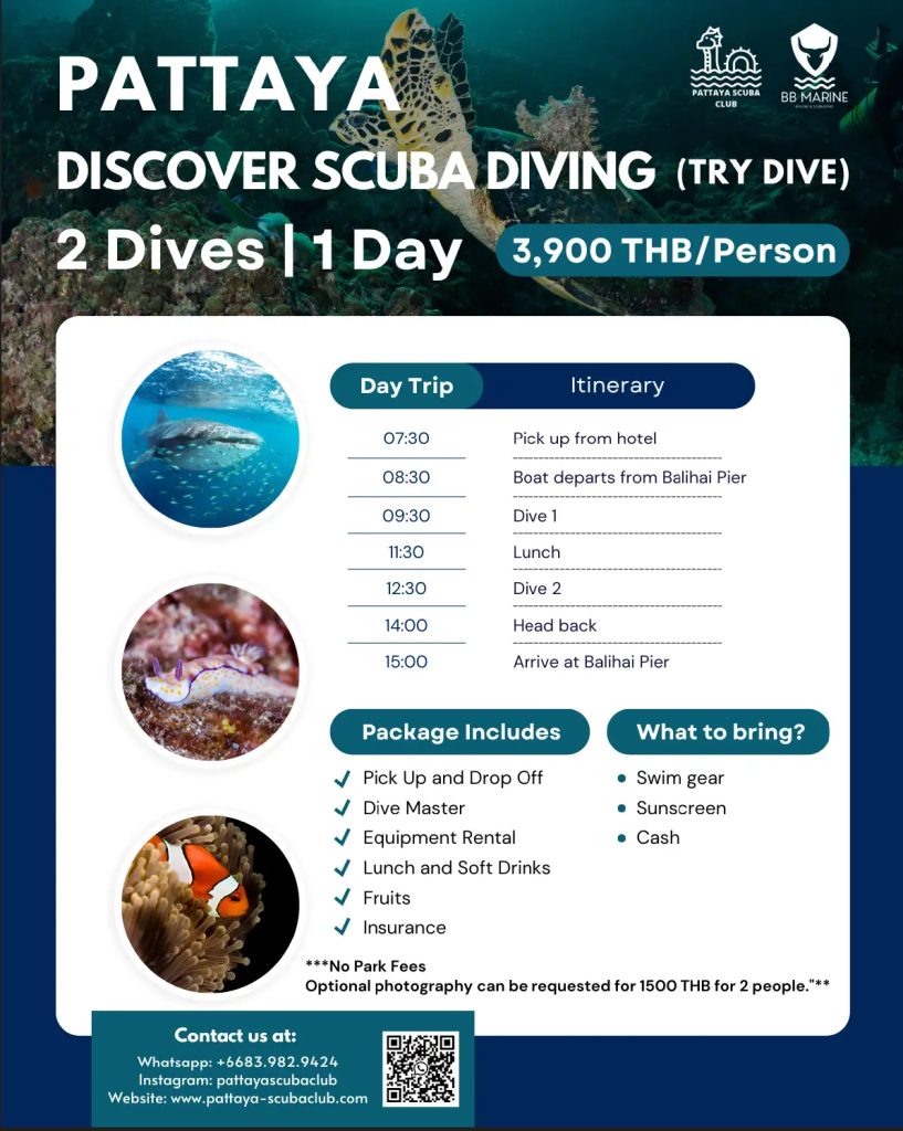 Discover Scuba Diving Program