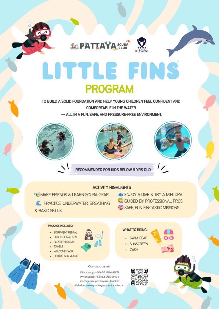 Little Fins